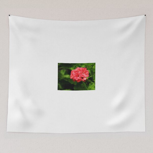 Item preview, Pink Pelargonium designed and sold by jonybigude.