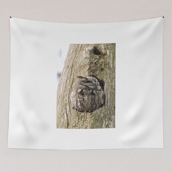 Item preview, Half asleep! designed and sold by Tracey  Dryka.