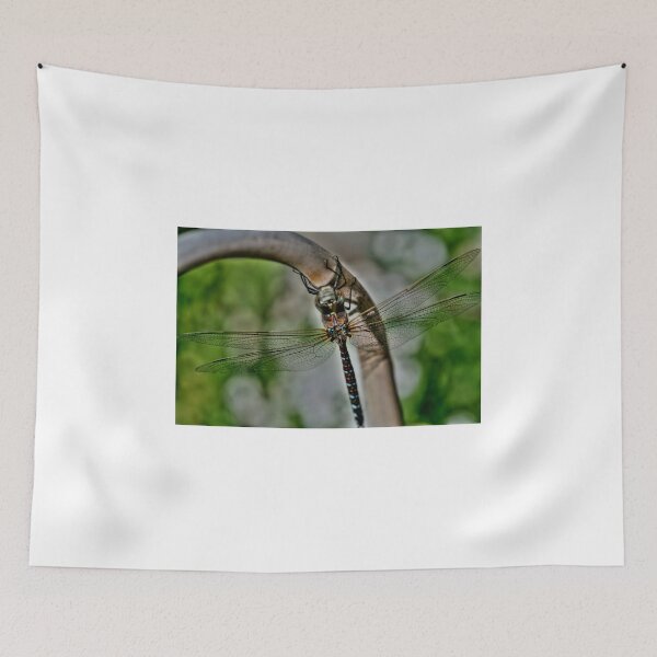 Item preview, Dragonfly!!! designed and sold by Larry Trupp.