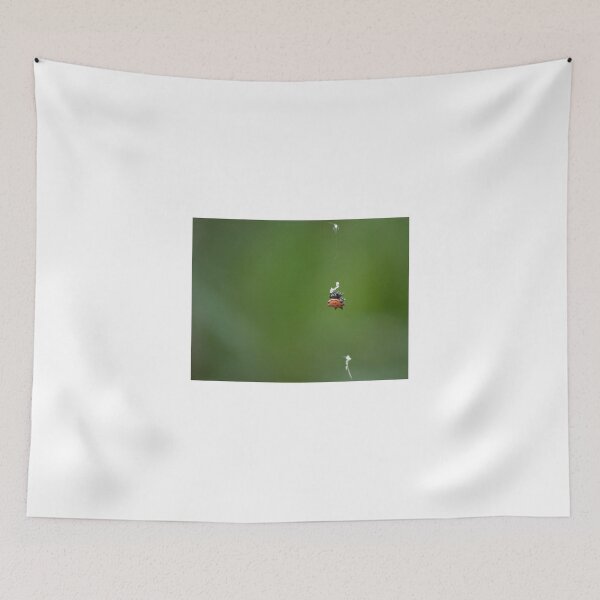 Item preview, The Spiny Orb-Weaver designed and sold by Diego Re.