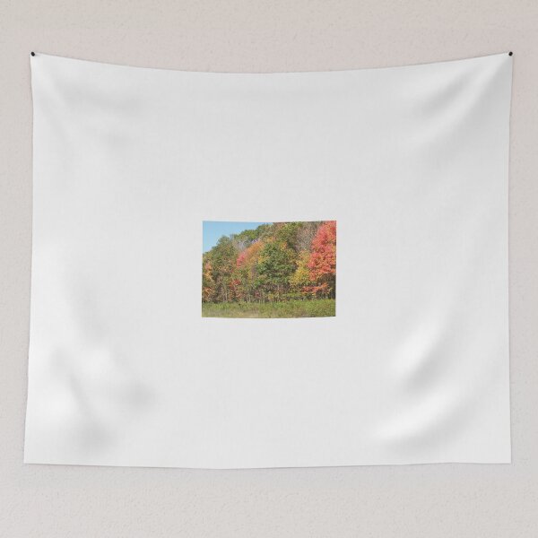 Artikelvorschau, autumn trees entworfen und verkauft von ssphotoshop.