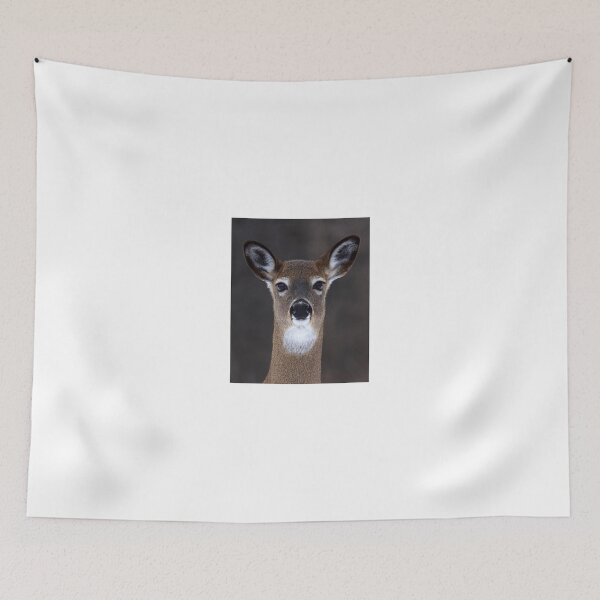 Item preview, White-tailed deer designed and sold by James Cumming.