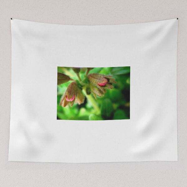Item preview, Two Buds designed and sold by Eugenio.