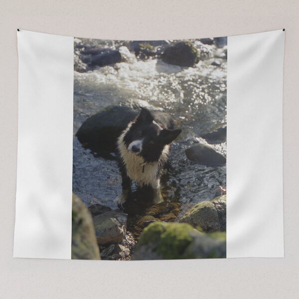 Item preview, Indy in the River designed and sold by Michael Haslam.