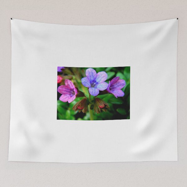 Item preview, Welcome of Spring designed and sold by Eugenio.