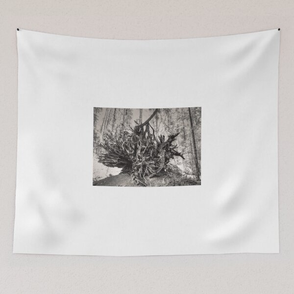Item preview, Roots designed and sold by Diego Re.