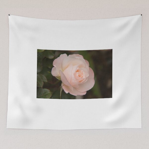Item preview, A New Zealand Rose designed and sold by Robert Kelch, M.D..