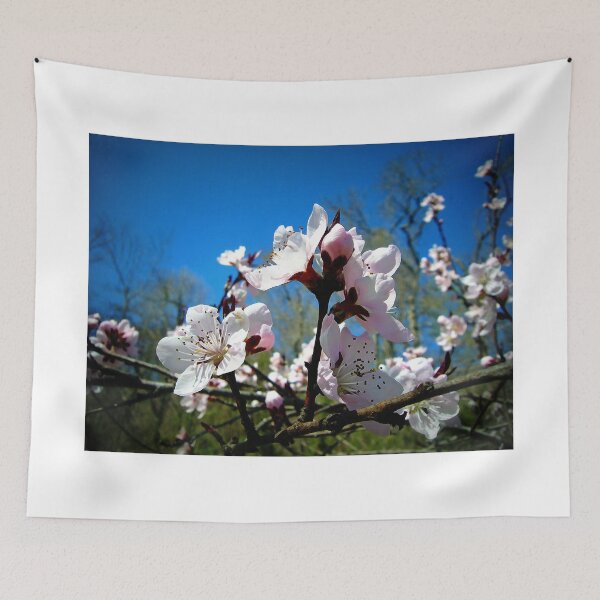 Item preview, Cherry Blossoms designed and sold by Frankie Cat Photography.