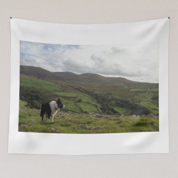 Item preview, Taking in the view designed and sold by Michael Haslam.