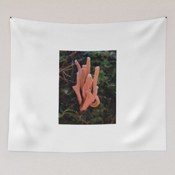 Item preview, Rain Forest  Pink #2Fungi Tasmania Gordon River Bush Walk designed and sold by Tom McDonnell.