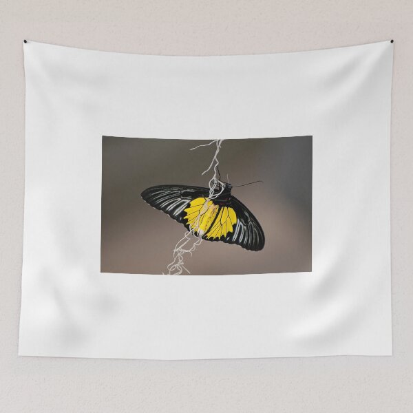 Item preview, Hanging by a thread designed and sold by Tracey  Dryka.