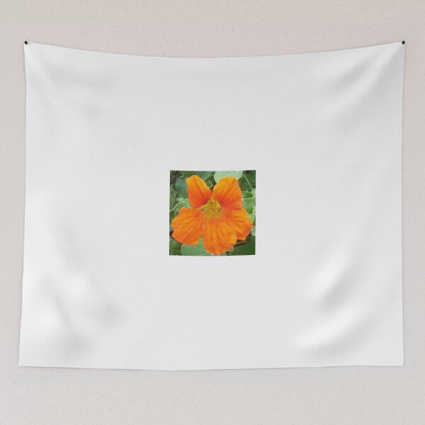 Item preview, Orange Nasturtium designed and sold by Kyleacharisse.