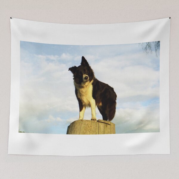 Item preview, Stumped designed and sold by Michael Haslam.