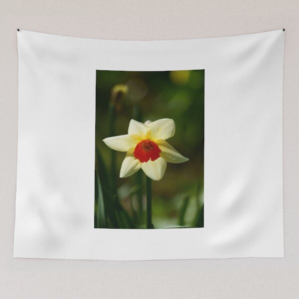Item preview, Backlit Narcissus designed and sold by Andy Beattie.