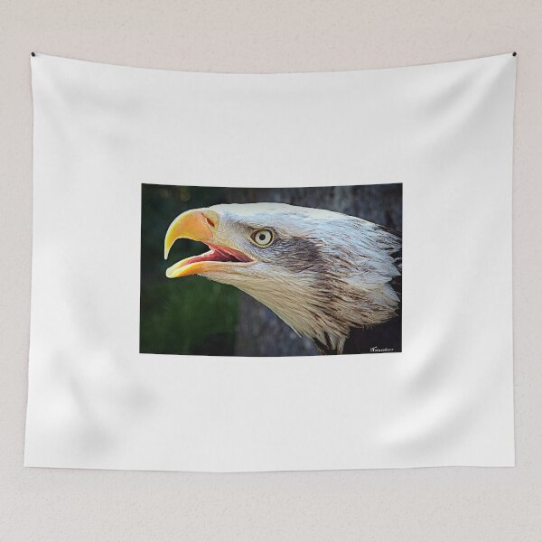 Item preview, Alaskan Bald Eagle designed and sold by naturelover.