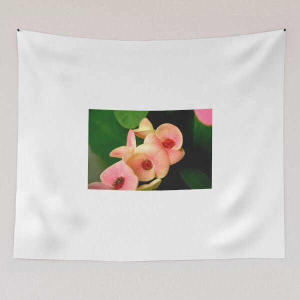Item preview, first blush designed and sold by lensbaby.