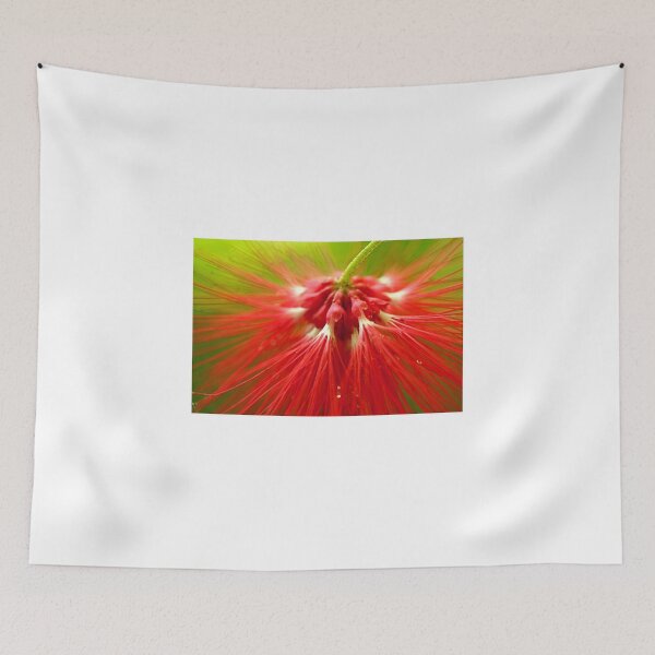 Item preview, ballerina designed and sold by lensbaby.
