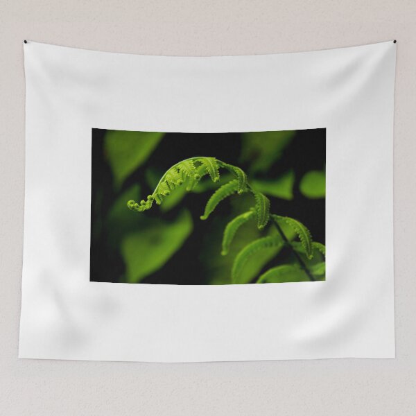 Item preview, green curls designed and sold by lensbaby.
