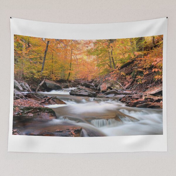 Item preview, Glowing Fall Foliage Over Kitchen Creek designed and sold by Gene Walls.