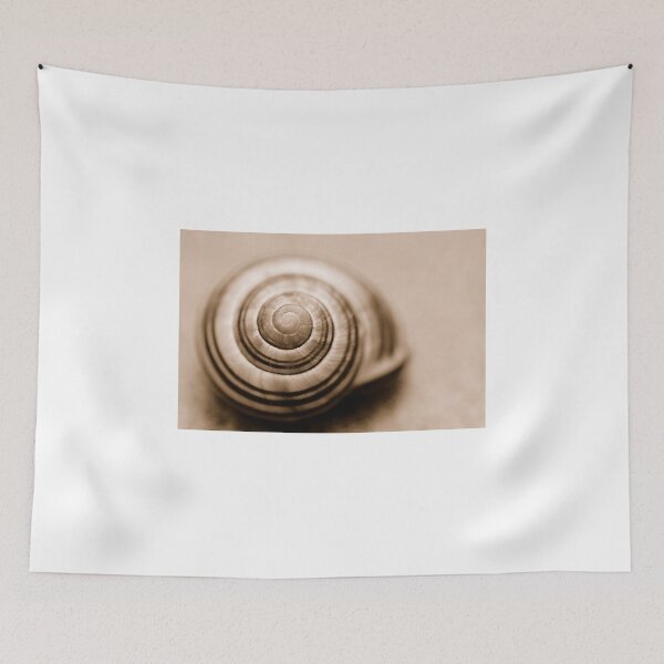 Item preview, Anybody Home? designed and sold by vbk70.