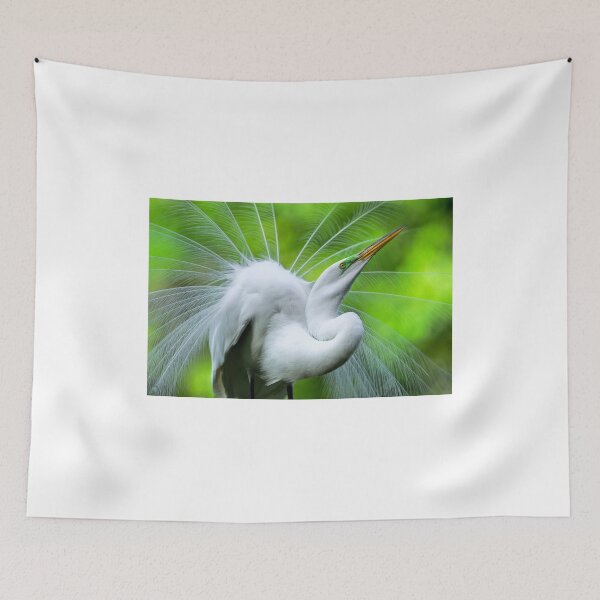 Item preview, Breeding Egret Eye to the Sky designed and sold by J Jennelle.