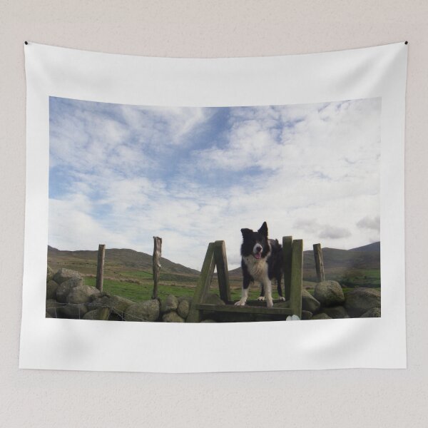 Item preview, Indy above the sheep designed and sold by Michael Haslam.