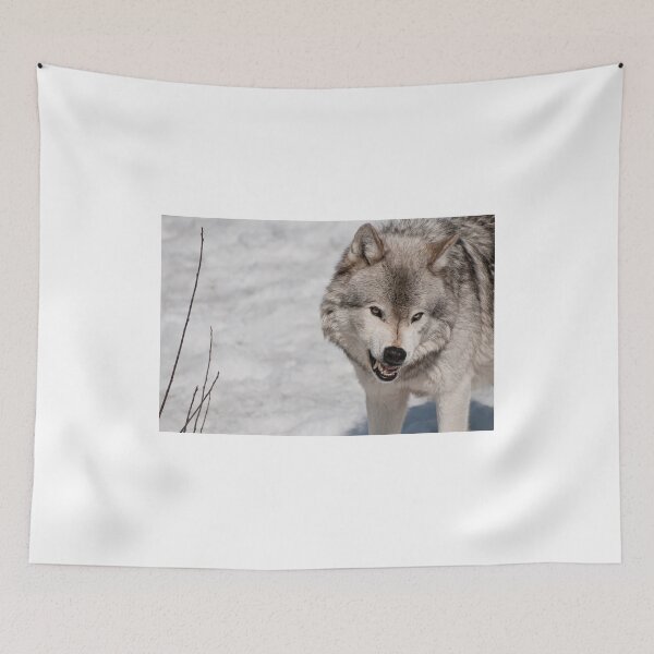 Item preview, Don't Make me Angry! designed and sold by Tracey  Dryka.