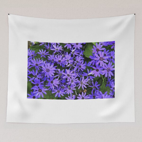 Item preview, Asters designed and sold by Thaddeus Zajdowicz.