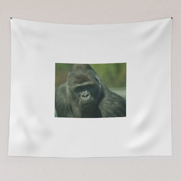 Item preview, Big Daddy! designed and sold by francophotos.
