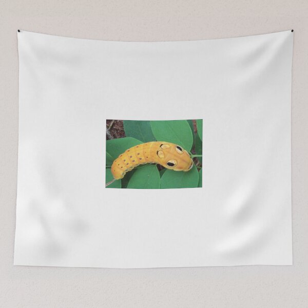 Item preview, The Eyes Have It! designed and sold by Ginny York.
