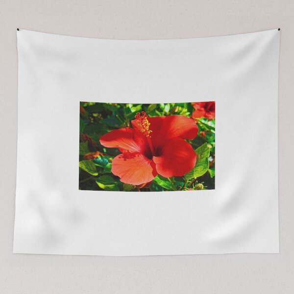 Item preview, Flower in the Sun designed and sold by hawkie.
