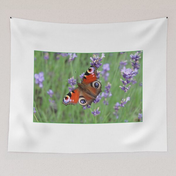Item preview, Posing Peacock Butterfly designed and sold by karina5.
