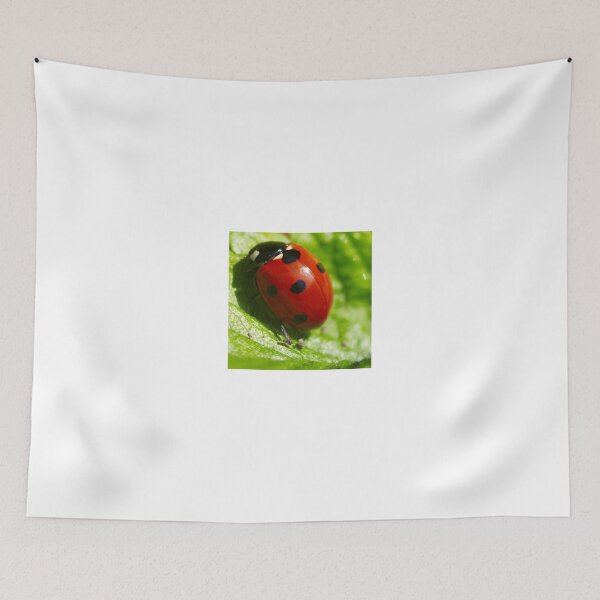 Item preview, Ladybird Shine designed and sold by EventHorizon.