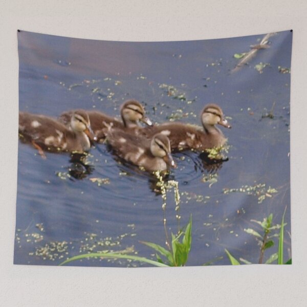 Item preview, Duck orphans designed and sold by B. Randi Bailey.