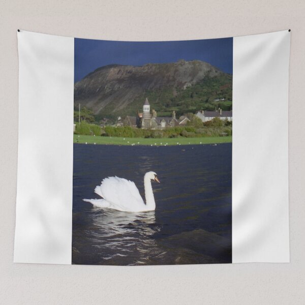 Item preview, The Swan and the Storm designed and sold by Michael Haslam.
