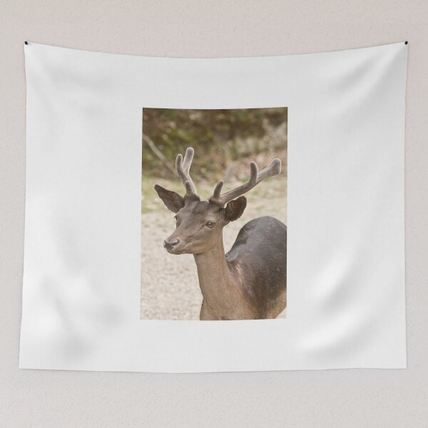 Item preview, Fallow Deer designed and sold by Tracey  Dryka.