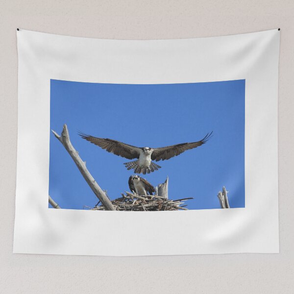 Item preview, Dang man, don't land on me ! designed and sold by kathy s gillentine.