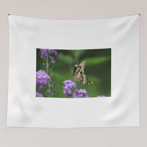 Item preview, Giant Swallowtail- Papilio cresphontes designed and sold by Lynda   McDonald.