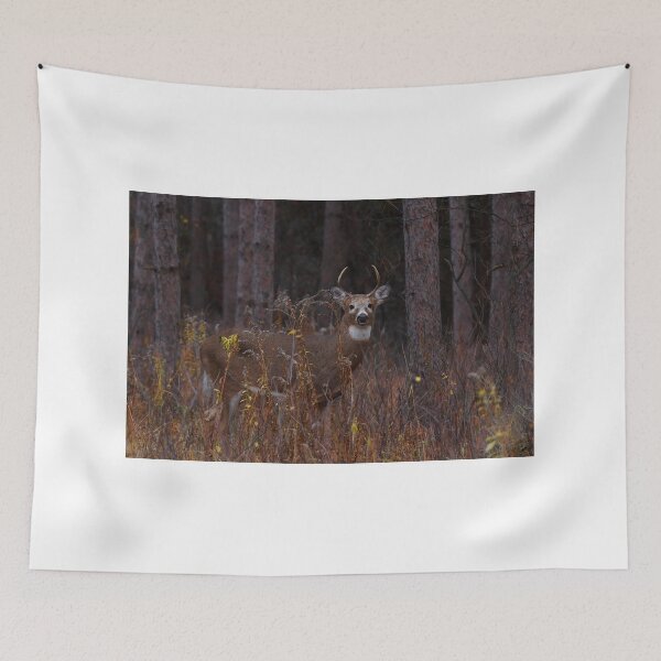 Item preview, Deep Woods Buck - White-tailed Deer designed and sold by James Cumming.