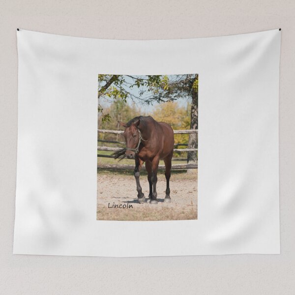 Item preview, Lincoln - NNEP Ottawa, Ontario designed and sold by Tracey  Dryka.