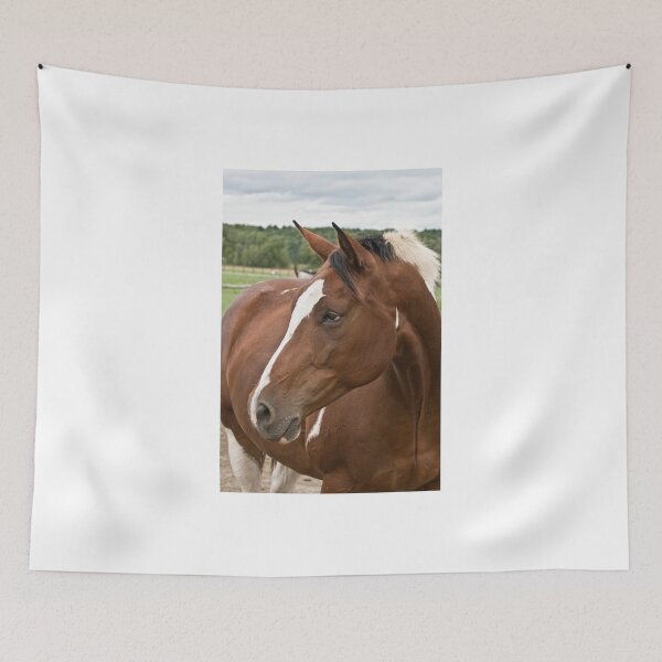 Item preview, For the Love of Lucy designed and sold by Tracey  Dryka.
