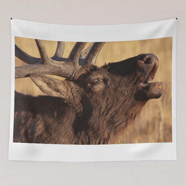 Item preview, Portrait of a Bugler designed and sold by WorldDesign.