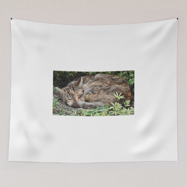 Item preview, Sleepy Kitty designed and sold by lynn carter.