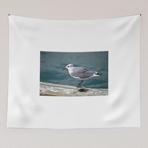 Item preview, Seagull in Galveston Bay designed and sold by Diego Re.