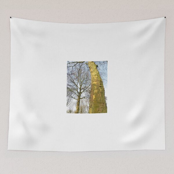 Item preview, Two Plane trees designed and sold by steppeland.
