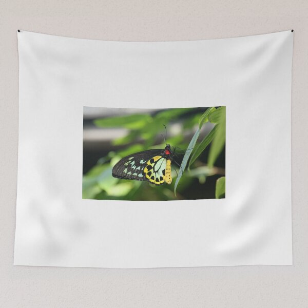 Item preview, Beautful butterfly. designed and sold by elphonline.