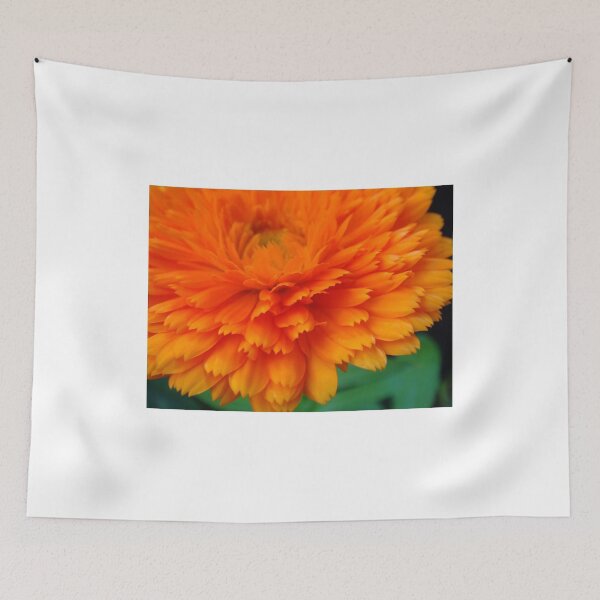 Item preview, Orange... designed and sold by Eugenio.