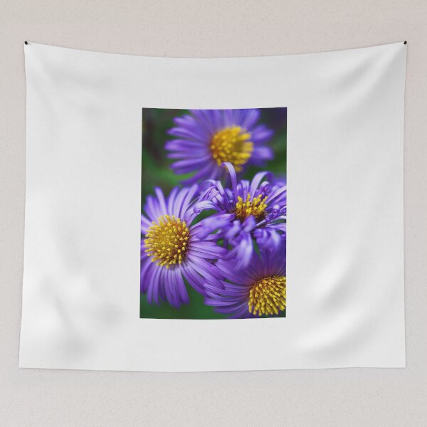Item preview, Wild & Beautiful Fall Aster designed and sold by T.J. Martin.
