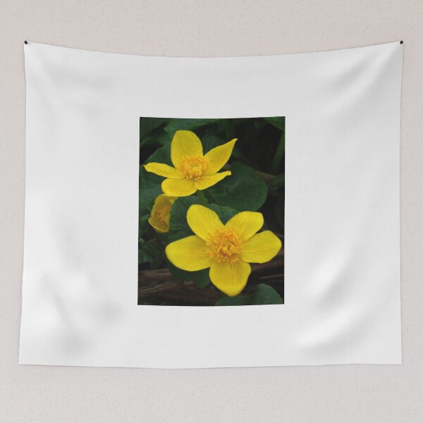 Item preview, Even sunny while it's raining - Kingcups designed and sold by steppeland.