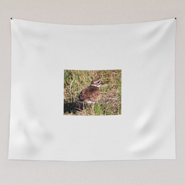 Item preview, Killdeer (with call) designed and sold by Larry Trupp.